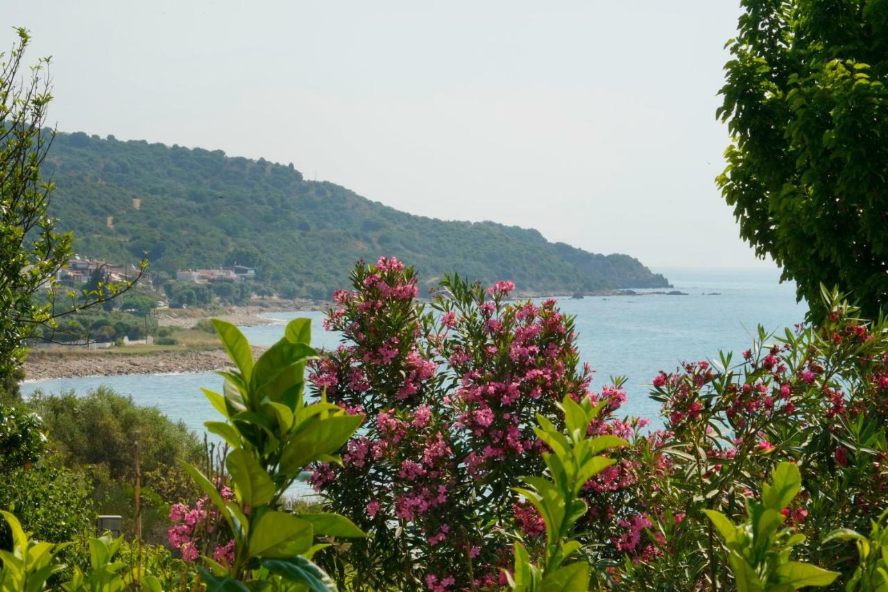 Secret Paradise Villas Loutra Elevtheron Esterno foto